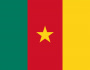 Flag Of Cameroon.svg Pzqipaqsph22tiqurk7l61avvp4gvtwxt8xoevpem4